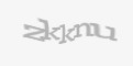 Защитный код