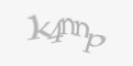 Защитный код